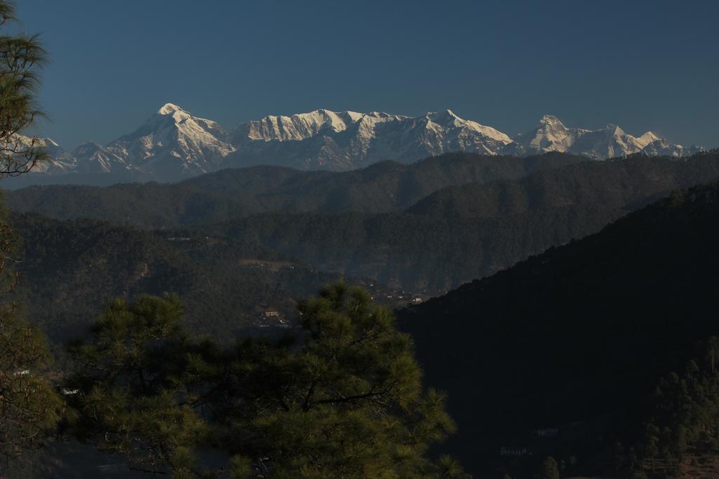 New Dolma Hotel Almora Exterior foto